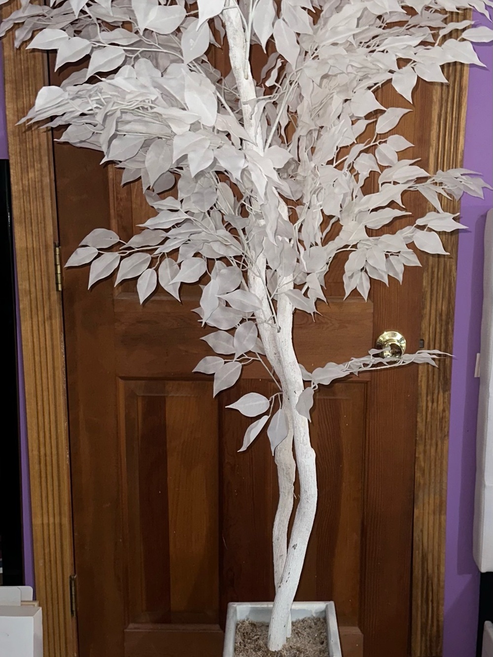 Home Accents White Artificial Ficus Tree - Elegant Faux Floral Accent
